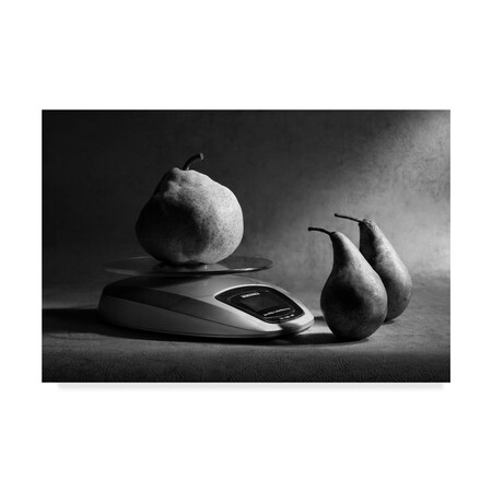 Trademark Fine Art Victoria Ivanova 'You Really Need A Diet' Canvas Art, 22x32 1X05799-C2232GG